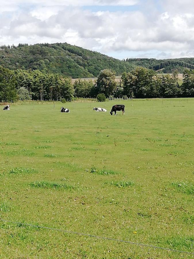 Ferienhaus Am Kuhstall Bad Muenstereifel Eksteriør billede