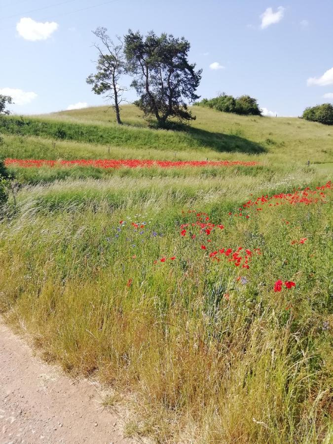 Ferienhaus Am Kuhstall Bad Muenstereifel Eksteriør billede